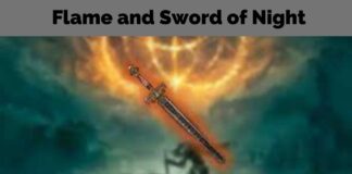 Flame and Sword of Night