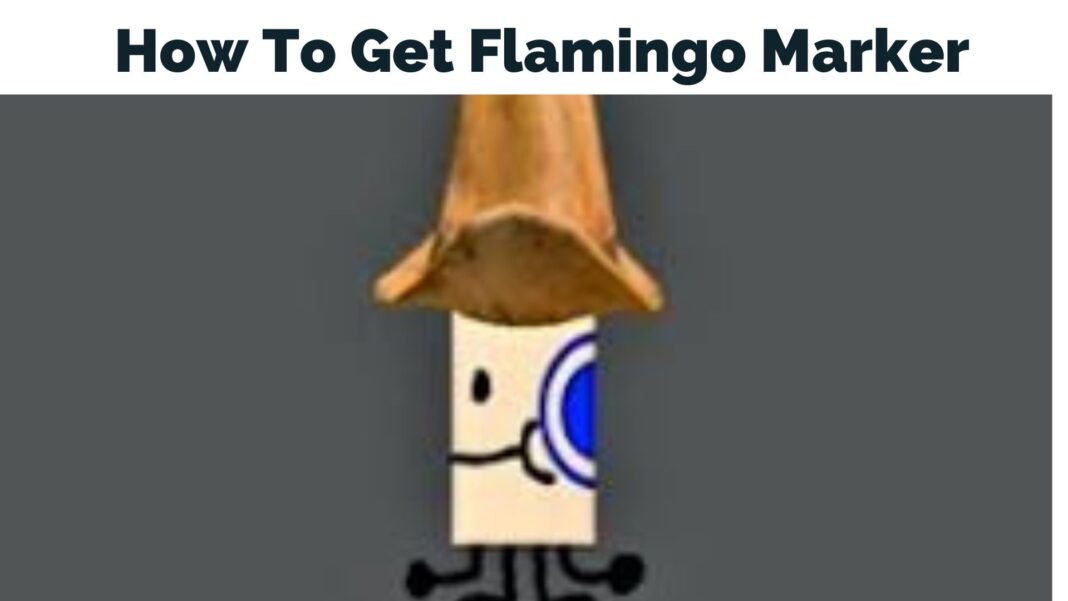 How To Get Flamingo Marker