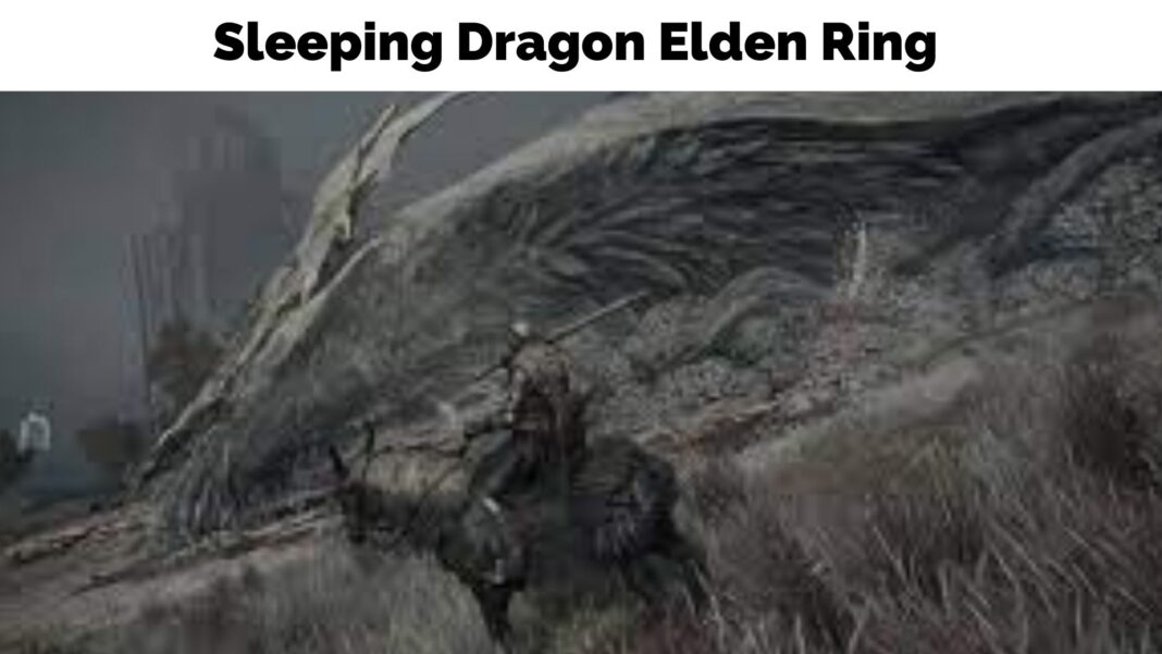 Sleeping Dragon Elden Ring