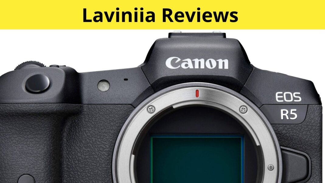 Laviniia Reviews