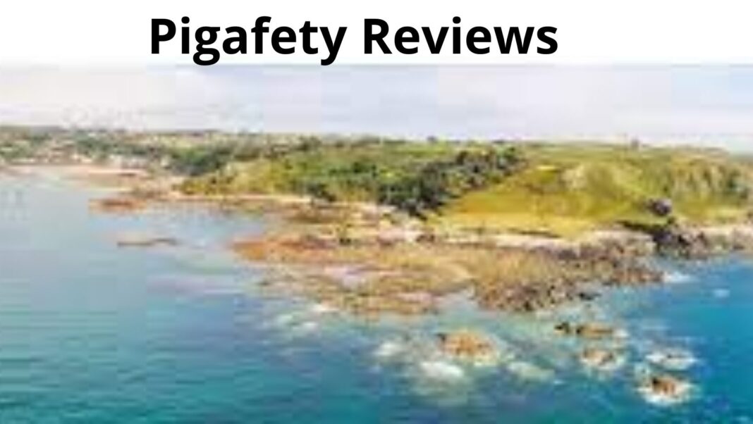 Pigafety Reviews