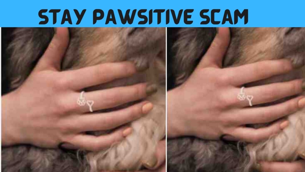 Stay Pawsitive Scam