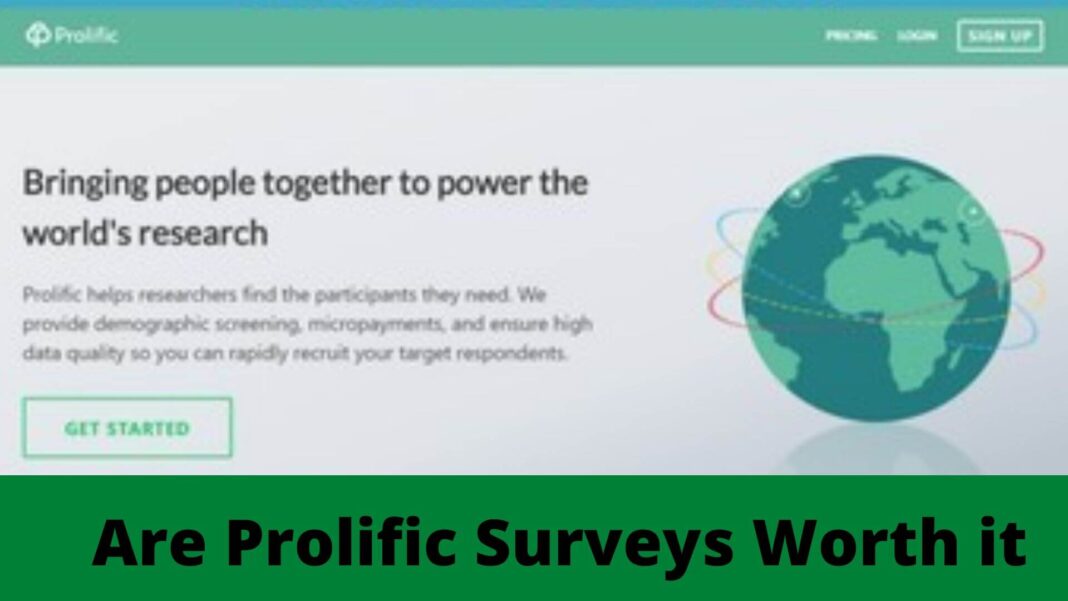 Are Prolific Surveys Worth it