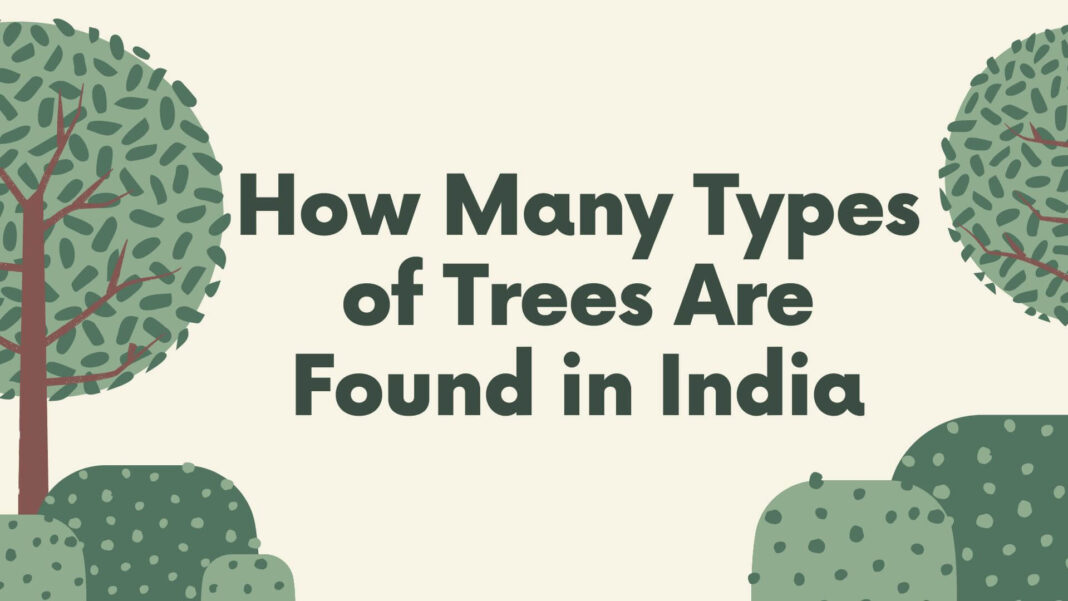 How Many Types of Trees Are Found in India