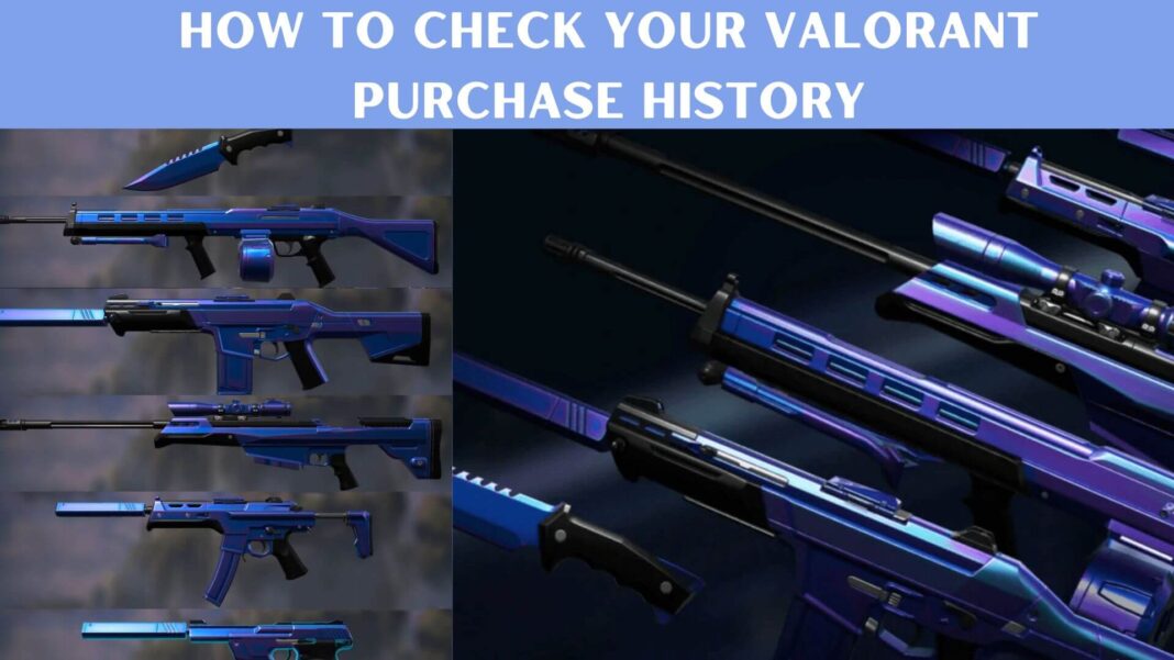 How To Check Your Valorant Purchase History