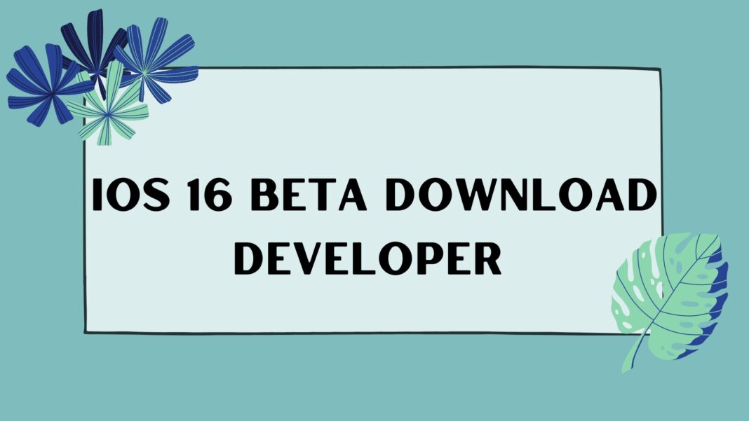 Ios 16 Beta Download Developer