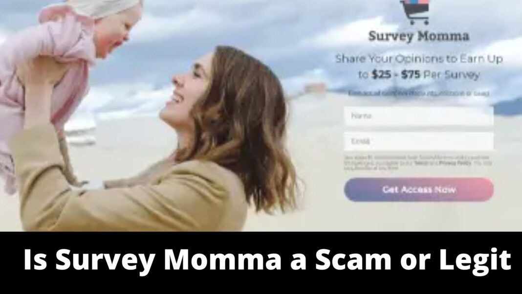 Is Survey Momma a Scam or Legit