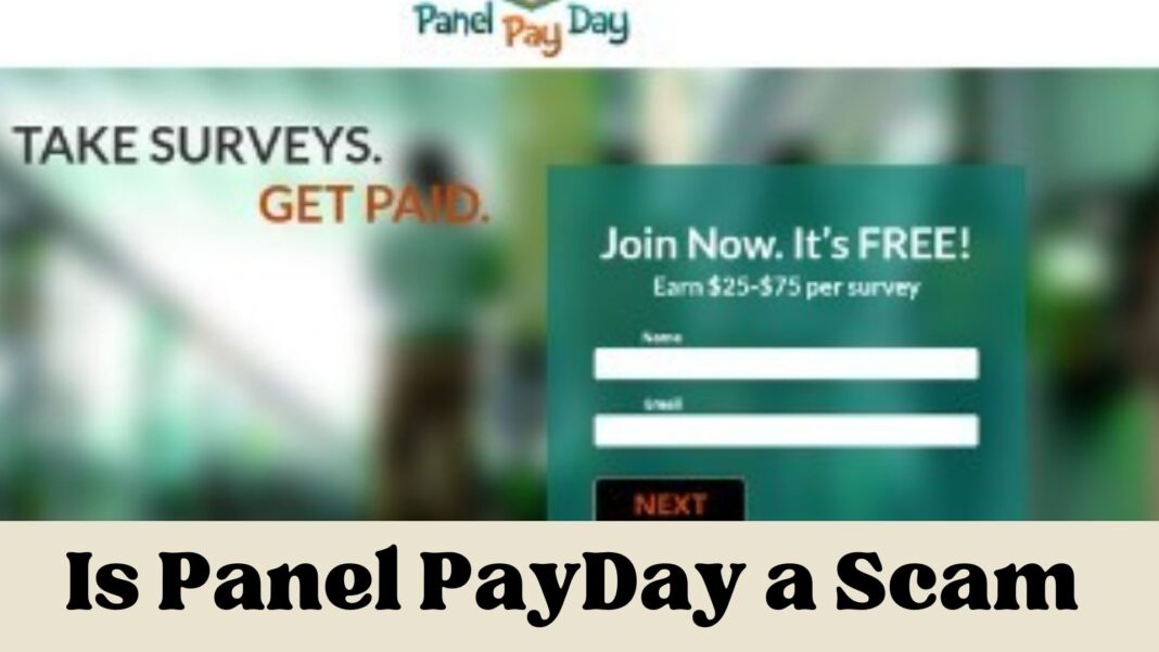 Is Panel PayDay a Scam