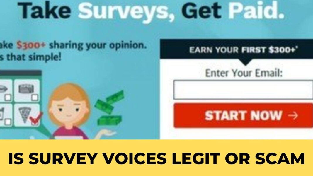 Is Survey Voices Legit or Scam