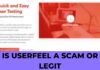 Is Userfeel a Scam or Legit