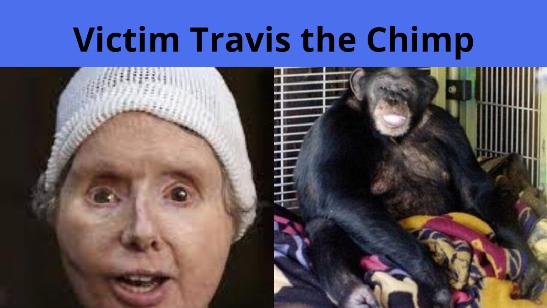 Victim Travis the Chimp