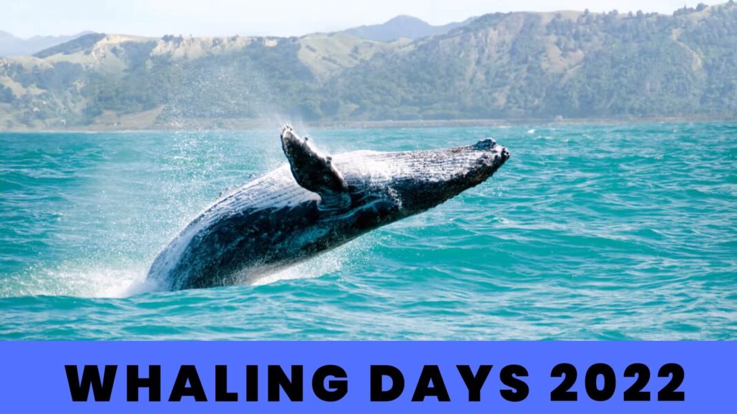 Whaling Days 2022
