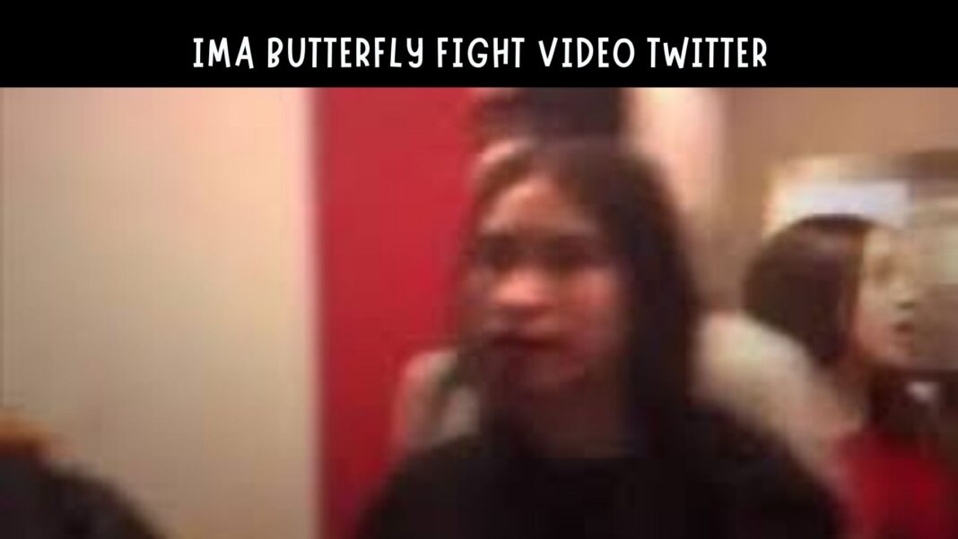 Ima Butterfly Fight Video Twitter