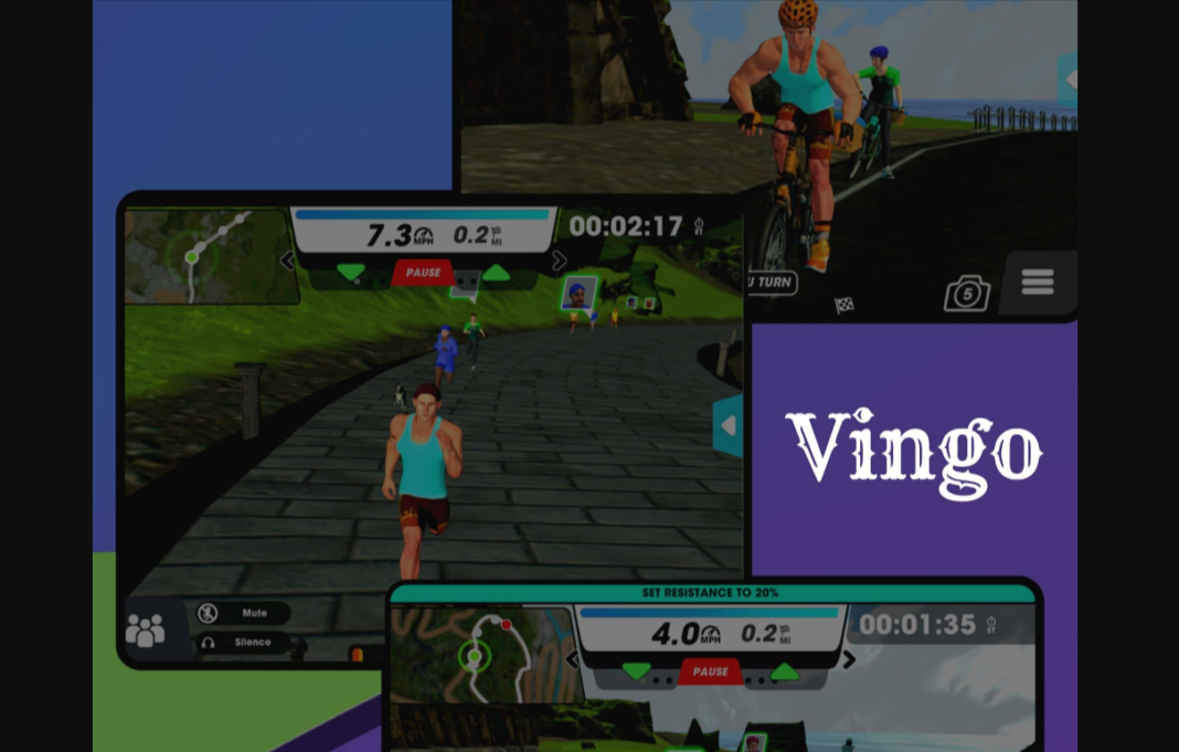 What Everyone Must Know About the Vingo App