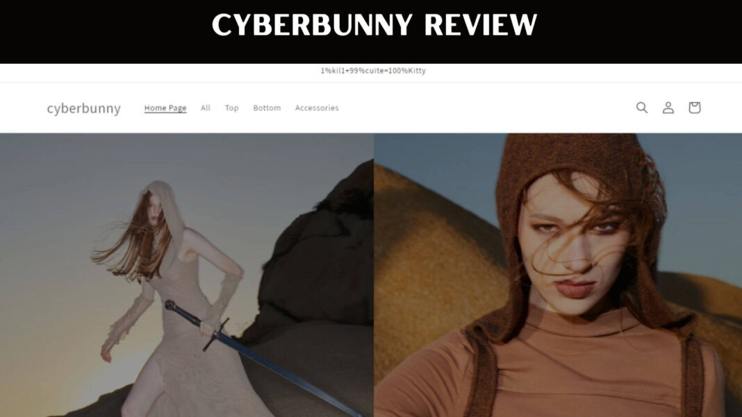 Cyberbunny Review