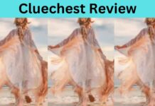 Cluechest Review