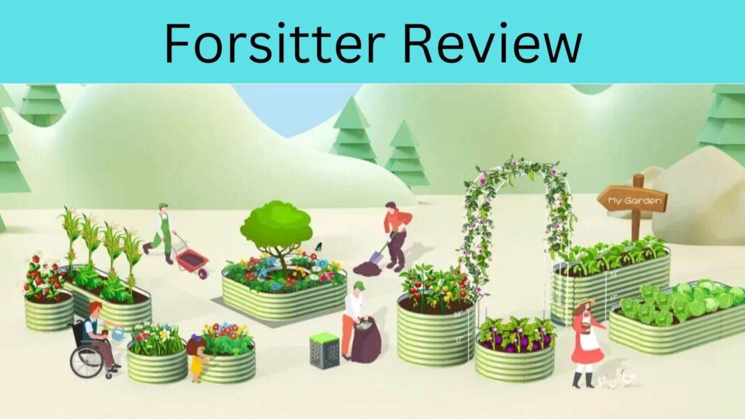 Forsitter Review