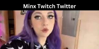 Minx Twitch Twitter